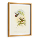 Húmedo Gould I - John Gould | Cuadro decorativo de Canvas Lab