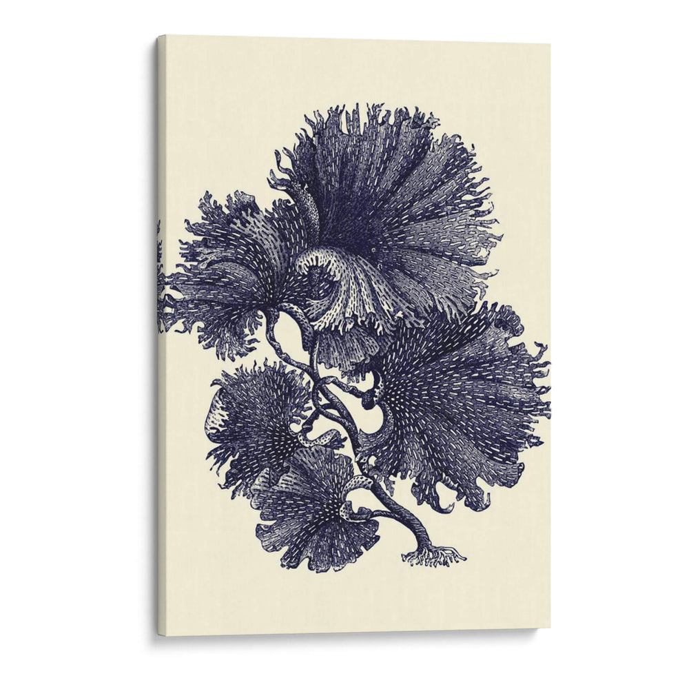 Índigo Kelp I - Vision Studio | Cuadro decorativo de Canvas Lab