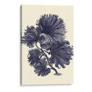 Índigo Kelp I - Vision Studio | Cuadro decorativo de Canvas Lab