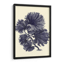 Índigo Kelp I - Vision Studio | Cuadro decorativo de Canvas Lab