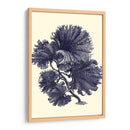 Índigo Kelp I - Vision Studio | Cuadro decorativo de Canvas Lab