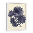 Índigo Kelp I - Vision Studio | Cuadro decorativo de Canvas Lab