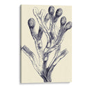 Indigo Kelp Ii - Vision Studio | Cuadro decorativo de Canvas Lab