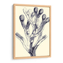 Indigo Kelp Ii - Vision Studio | Cuadro decorativo de Canvas Lab