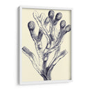 Indigo Kelp Ii - Vision Studio | Cuadro decorativo de Canvas Lab