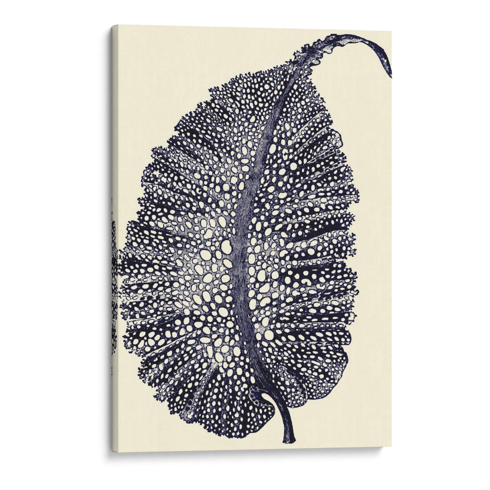 Indigo Kelp Iv - Vision Studio | Cuadro decorativo de Canvas Lab
