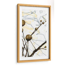 Willow Flors I - Jennifer Goldberger | Cuadro decorativo de Canvas Lab
