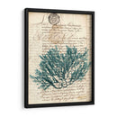 Vintage Teal Seaweed I - Vision Studio | Cuadro decorativo de Canvas Lab