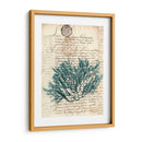 Vintage Teal Seaweed I - Vision Studio | Cuadro decorativo de Canvas Lab
