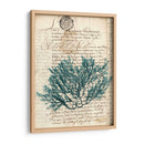 Vintage Teal Seaweed I - Vision Studio | Cuadro decorativo de Canvas Lab