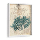 Vintage Teal Seaweed I - Vision Studio | Cuadro decorativo de Canvas Lab