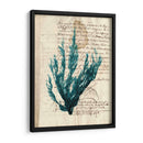 Vintage Teal Seaweed Ii - Vision Studio | Cuadro decorativo de Canvas Lab