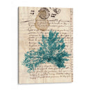 Vintage Teal Seaweed Iii - Vision Studio | Cuadro decorativo de Canvas Lab