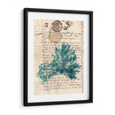 Vintage Teal Seaweed Iii - Vision Studio | Cuadro decorativo de Canvas Lab