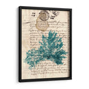 Vintage Teal Seaweed Iii - Vision Studio | Cuadro decorativo de Canvas Lab
