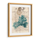 Vintage Teal Seaweed Iii - Vision Studio | Cuadro decorativo de Canvas Lab