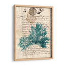 Vintage Teal Seaweed Iii - Vision Studio | Cuadro decorativo de Canvas Lab