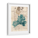 Vintage Teal Seaweed Iii - Vision Studio | Cuadro decorativo de Canvas Lab