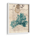 Vintage Teal Seaweed Iii - Vision Studio | Cuadro decorativo de Canvas Lab