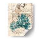 Vintage Teal Seaweed Iii - Vision Studio | Cuadro decorativo de Canvas Lab