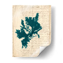 Vintage Teal Seaweed Iv - Vision Studio | Cuadro decorativo de Canvas Lab