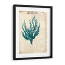 Vintage Teal Seaweed V - Vision Studio | Cuadro decorativo de Canvas Lab