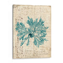 Vintage Teal Seaweed Vi - Vision Studio | Cuadro decorativo de Canvas Lab