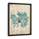 Vintage Teal Seaweed Vi - Vision Studio | Cuadro decorativo de Canvas Lab