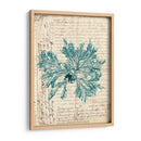 Vintage Teal Seaweed Vi - Vision Studio | Cuadro decorativo de Canvas Lab