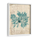 Vintage Teal Seaweed Vi - Vision Studio | Cuadro decorativo de Canvas Lab