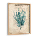 Vintage Teal Seaweed Vii - Vision Studio | Cuadro decorativo de Canvas Lab