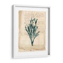 Vintage Teal Seaweed Viii - Vision Studio | Cuadro decorativo de Canvas Lab