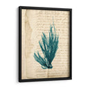 Vintage Teal Seaweed Ix - Vision Studio | Cuadro decorativo de Canvas Lab