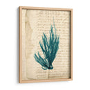 Vintage Teal Seaweed Ix - Vision Studio | Cuadro decorativo de Canvas Lab
