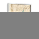 Vintage Teal Seaweed Ix - Vision Studio | Cuadro decorativo de Canvas Lab