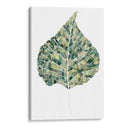 Detalles Verdes I - Grace Popp | Cuadro decorativo de Canvas Lab