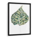 Detalles Verdes I - Grace Popp | Cuadro decorativo de Canvas Lab