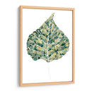 Detalles Verdes I - Grace Popp | Cuadro decorativo de Canvas Lab