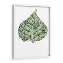 Detalles Verdes I - Grace Popp | Cuadro decorativo de Canvas Lab