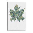 Detalles Verdes Ii - Grace Popp | Cuadro decorativo de Canvas Lab