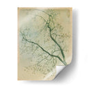 Dejarlo Detrás De Ii - Jennifer Jorgensen | Cuadro decorativo de Canvas Lab