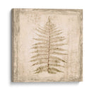 Hoja De Piedra I - Irena Orlov | Cuadro decorativo de Canvas Lab