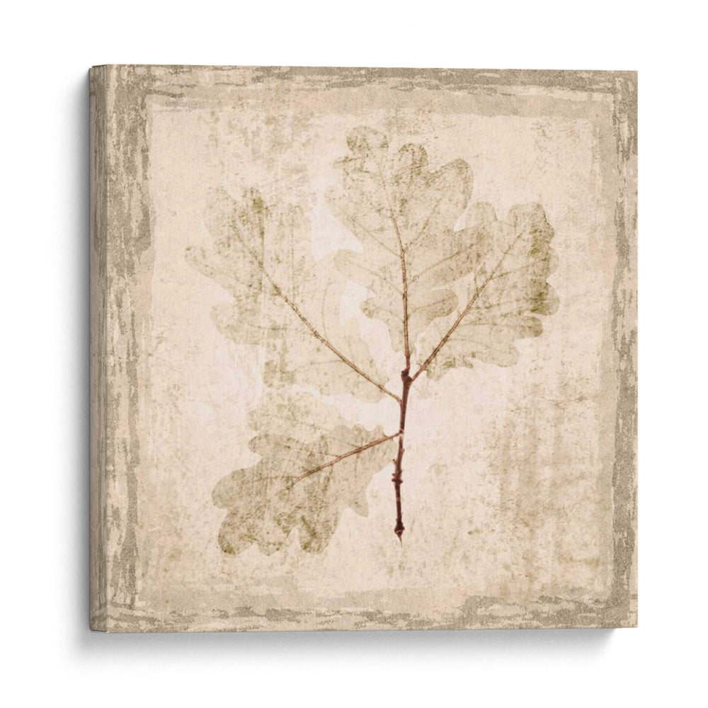 Hoja De Piedra Iii - Irena Orlov | Cuadro decorativo de Canvas Lab