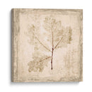Hoja De Piedra Iii - Irena Orlov | Cuadro decorativo de Canvas Lab