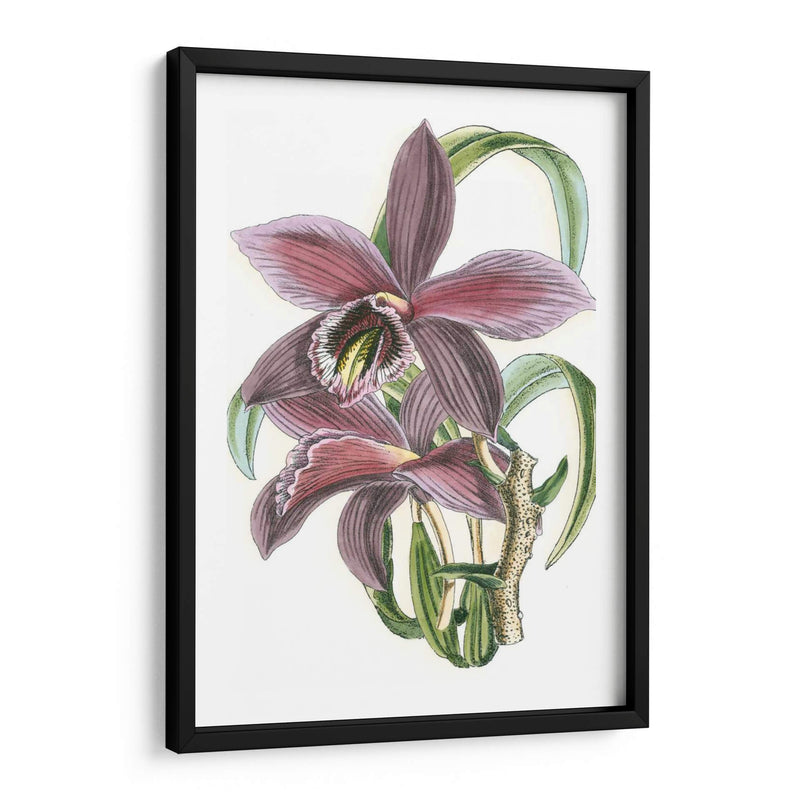 Lila Orchid I - Vision Studio | Cuadro decorativo de Canvas Lab