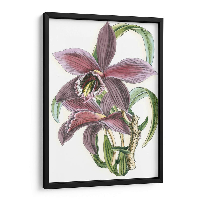 Lila Orchid I - Vision Studio | Cuadro decorativo de Canvas Lab