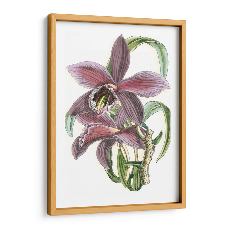 Lila Orchid I - Vision Studio | Cuadro decorativo de Canvas Lab