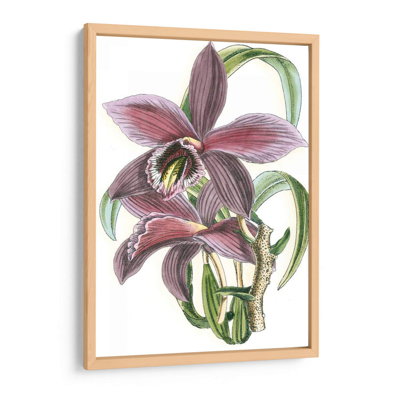 Lila Orchid I - Vision Studio | Cuadro decorativo de Canvas Lab