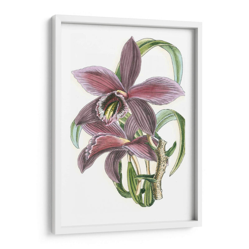 Lila Orchid I - Vision Studio | Cuadro decorativo de Canvas Lab