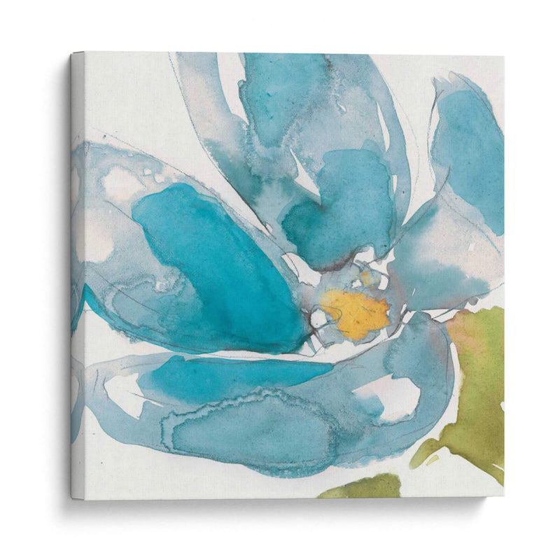 Flor Splash I - Jennifer Goldberger | Cuadro decorativo de Canvas Lab